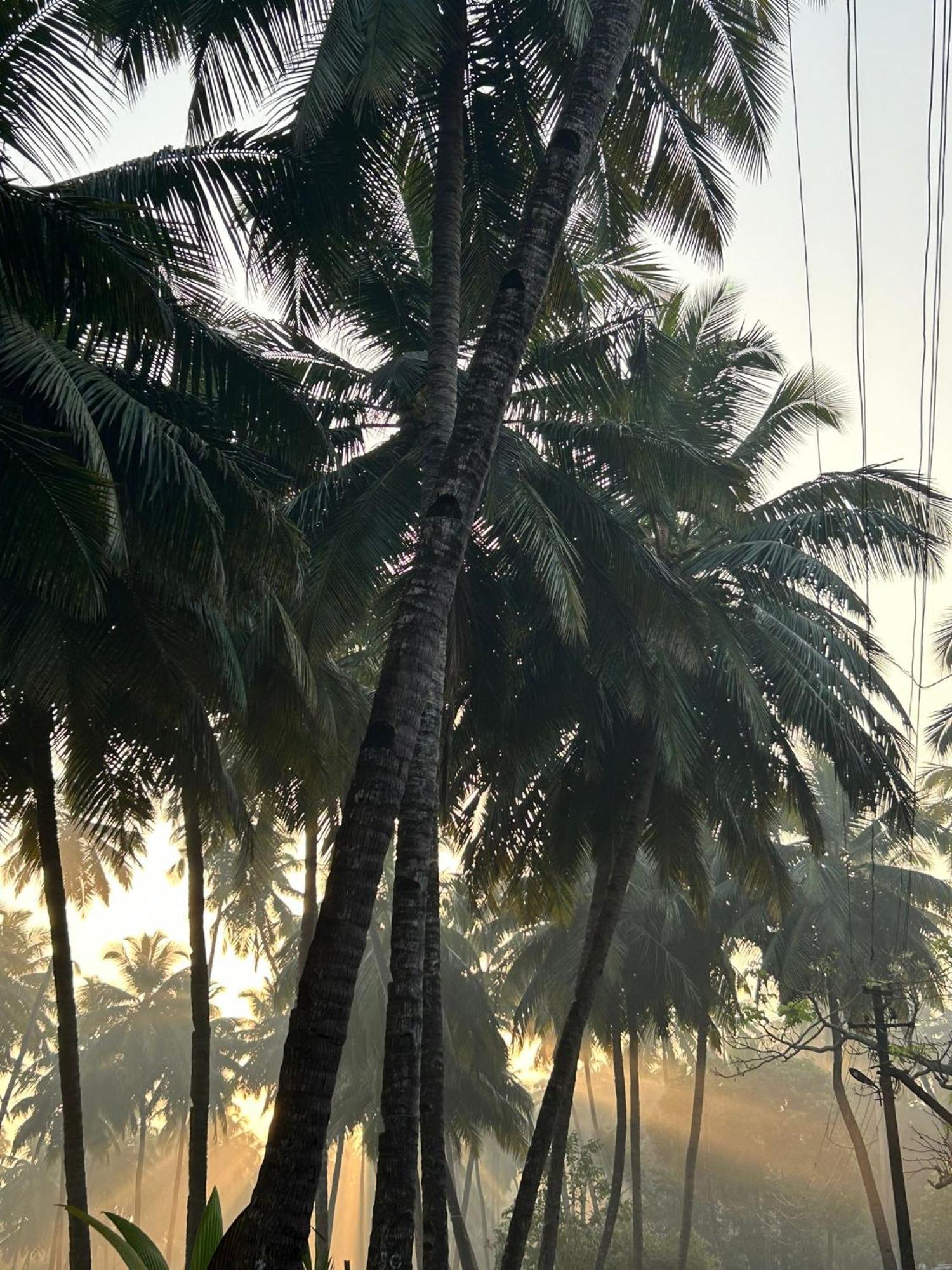 The Bungalow Bogmalo An 1880 Indo Portuguese Heritage Beach Villa South Goa 外观 照片