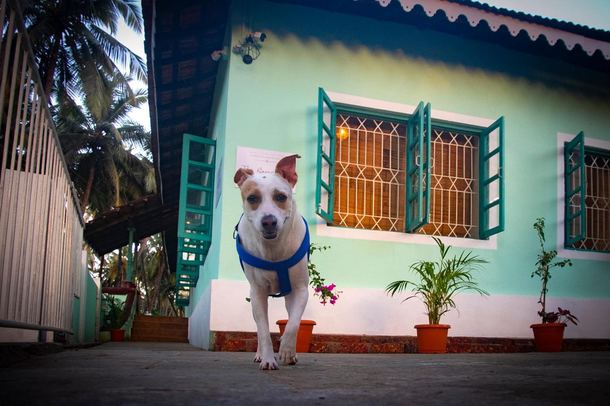 The Bungalow Bogmalo An 1880 Indo Portuguese Heritage Beach Villa South Goa 外观 照片