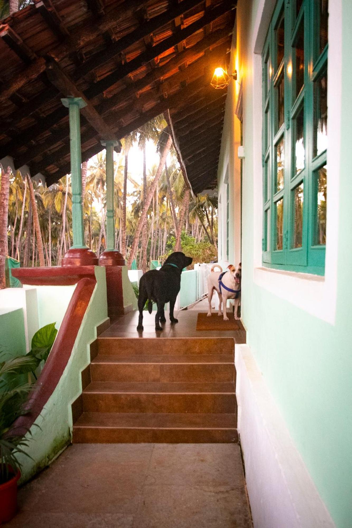 The Bungalow Bogmalo An 1880 Indo Portuguese Heritage Beach Villa South Goa 外观 照片